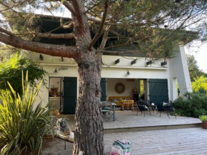 Villa Athena Cap-Ferret chez l habitant